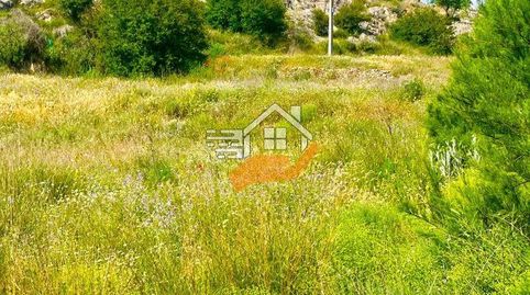 Finca Rúst. en venta en VélezRubio, 5 dormitorios., immagine 2