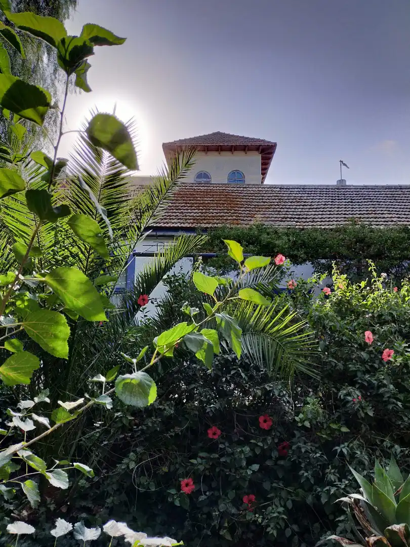 Vista exterior de Casa o chalet en venta en Cartagena con Jardín privado y Piscina
