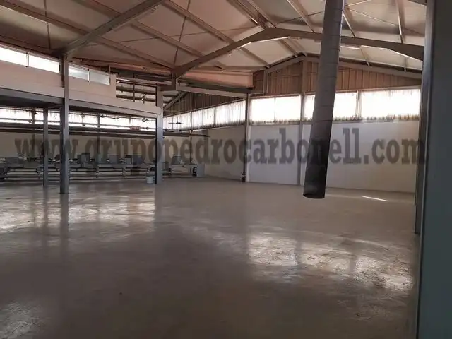 Nave industrial en alquiler en Elche ciudad, imagen 3