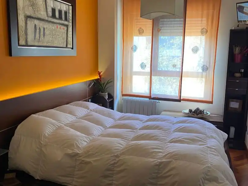 Wohnung mit Pool zum Verkauf in Silvina 1, imagen 12