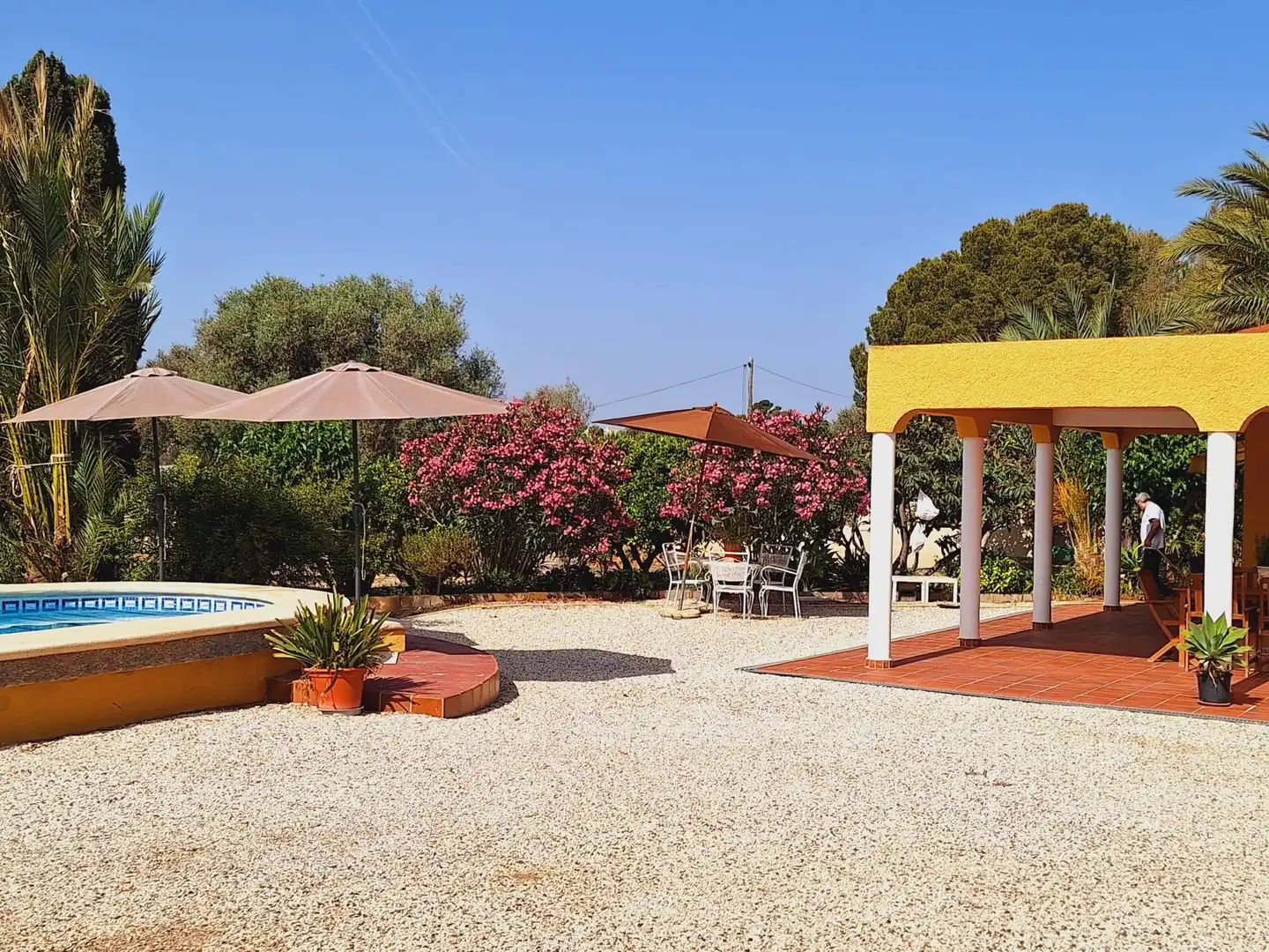 Jardí de Casa o xalet en venda en Alicante / Alacant amb Jardí privat, Terrassa i Traster
