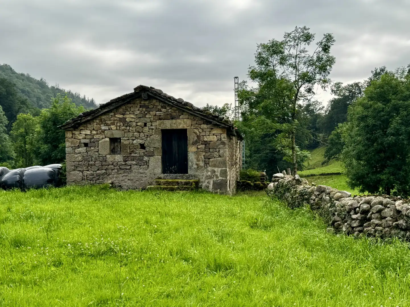 Vista exterior de Casa o chalet en venta en Selaya