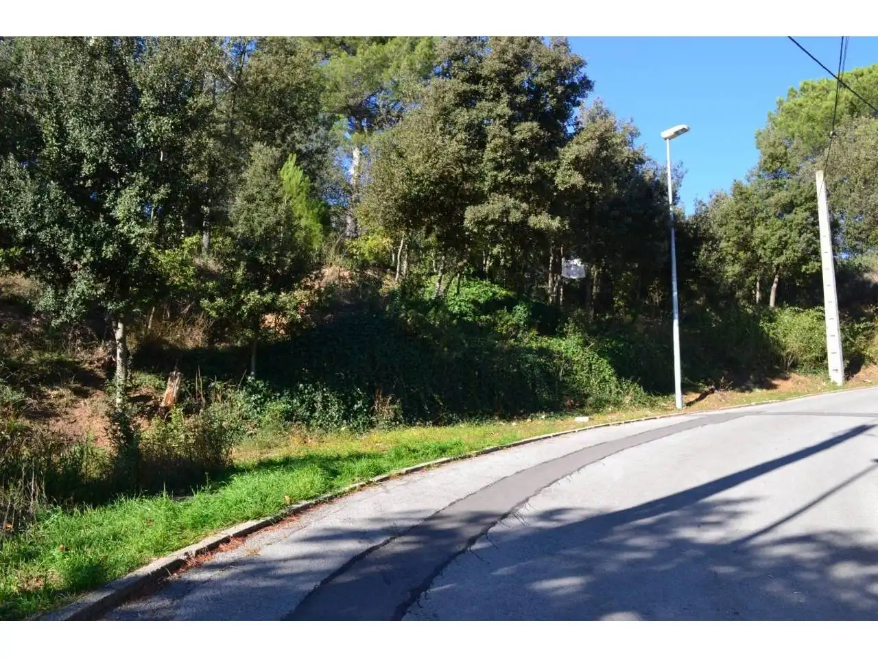 Terreno rustico in vendita a Calle Vinya del Cargol