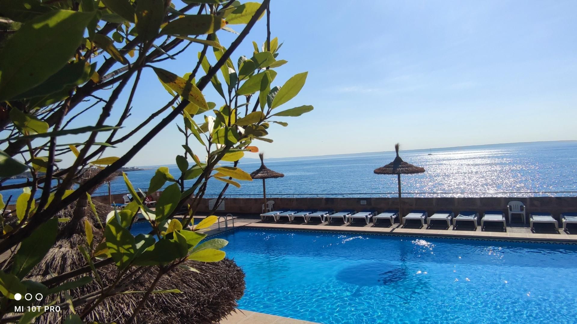 Swimming pool of Flat for sale in Calvià  with Air Conditioner, Terrace and Community pool