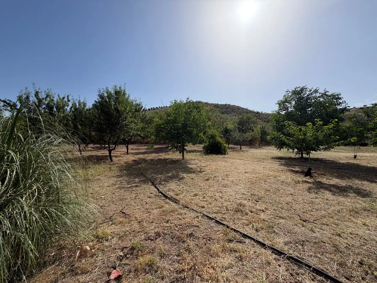 Finca rústica en venta en Iznájar con Jardín privado y Terraza