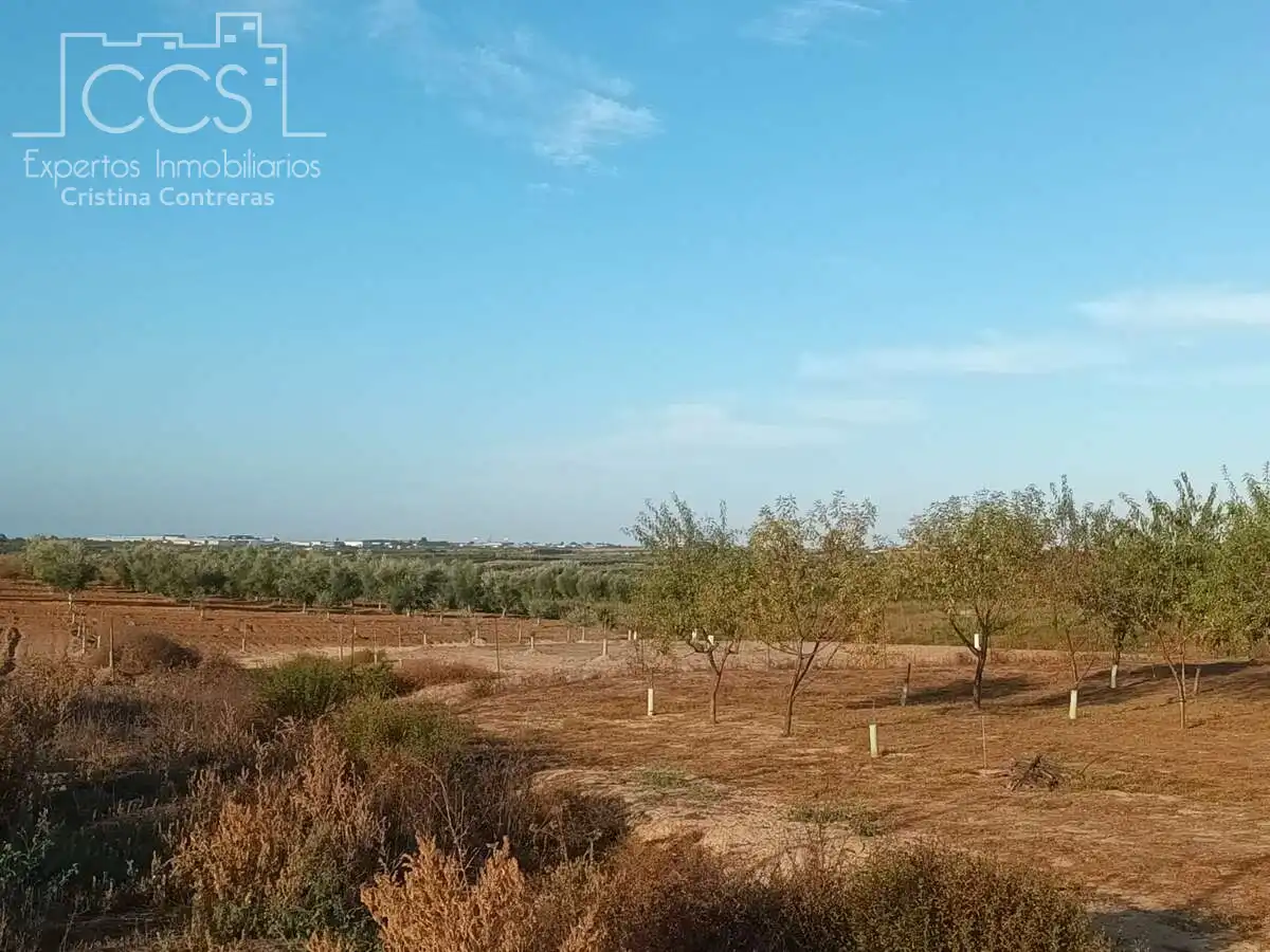Casa rústica con jardín en venta en Bollullos Par del Condado, imagen 12