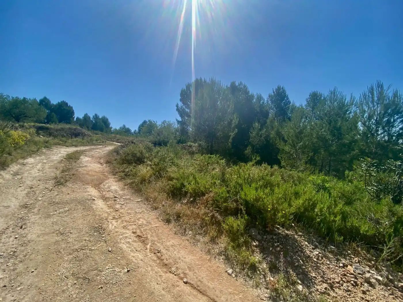 Terreno rustico in vendita a POLÍGONO 10 PARCELA 493, imagen 31