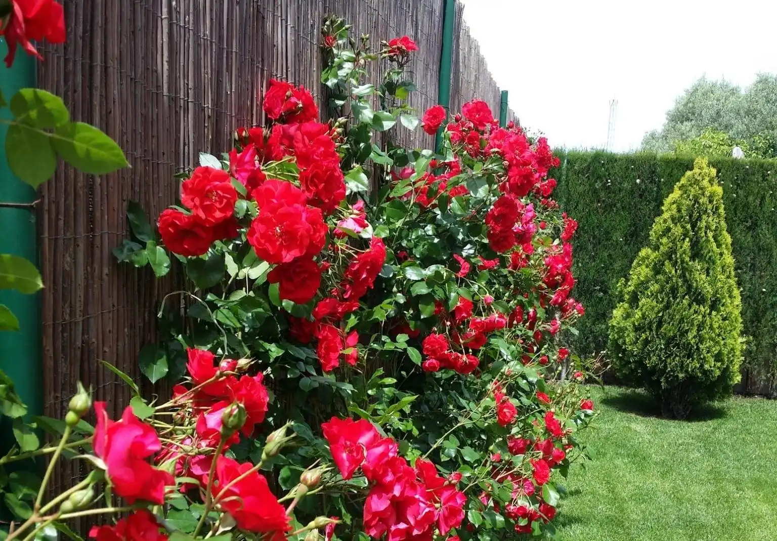 Garden of Houses for sale in Siétamo  with Air Conditioner, Heating and Private garden