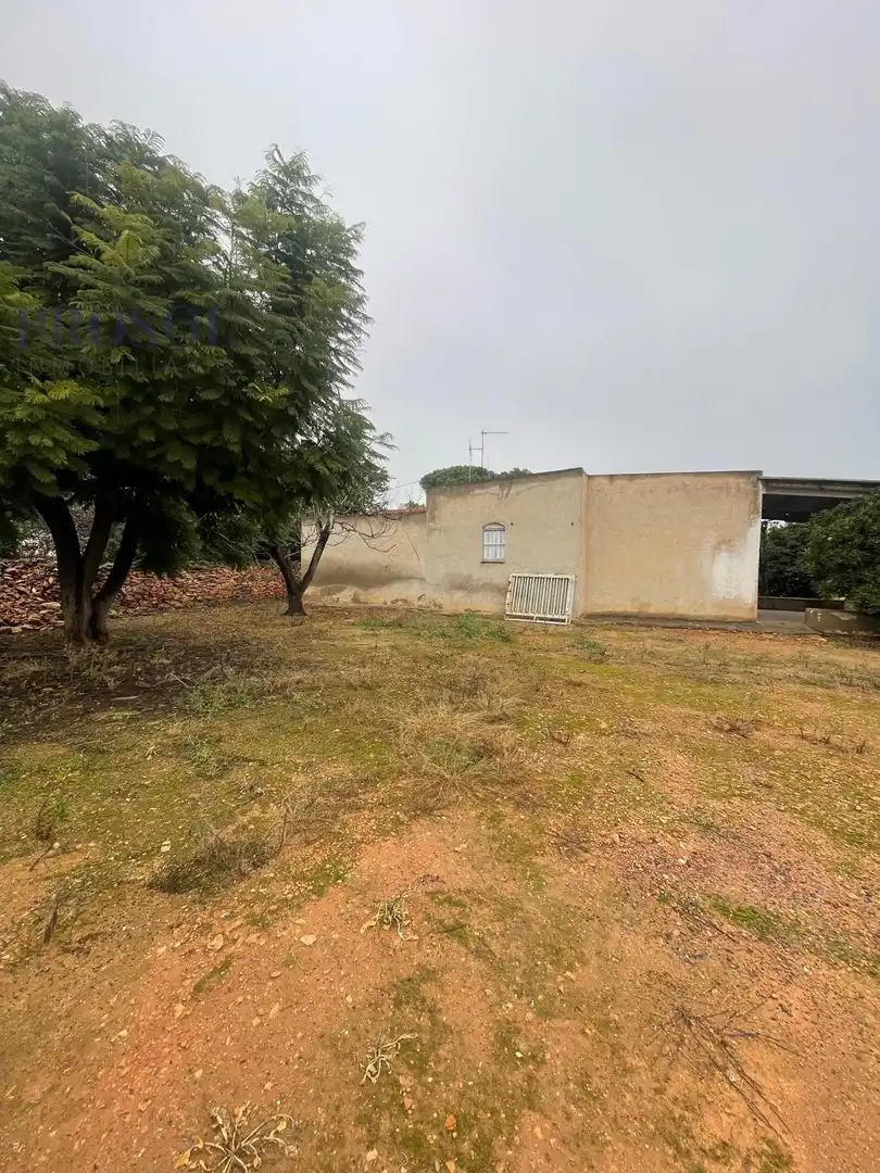 Country house for sale in Madrigal, imagen 4