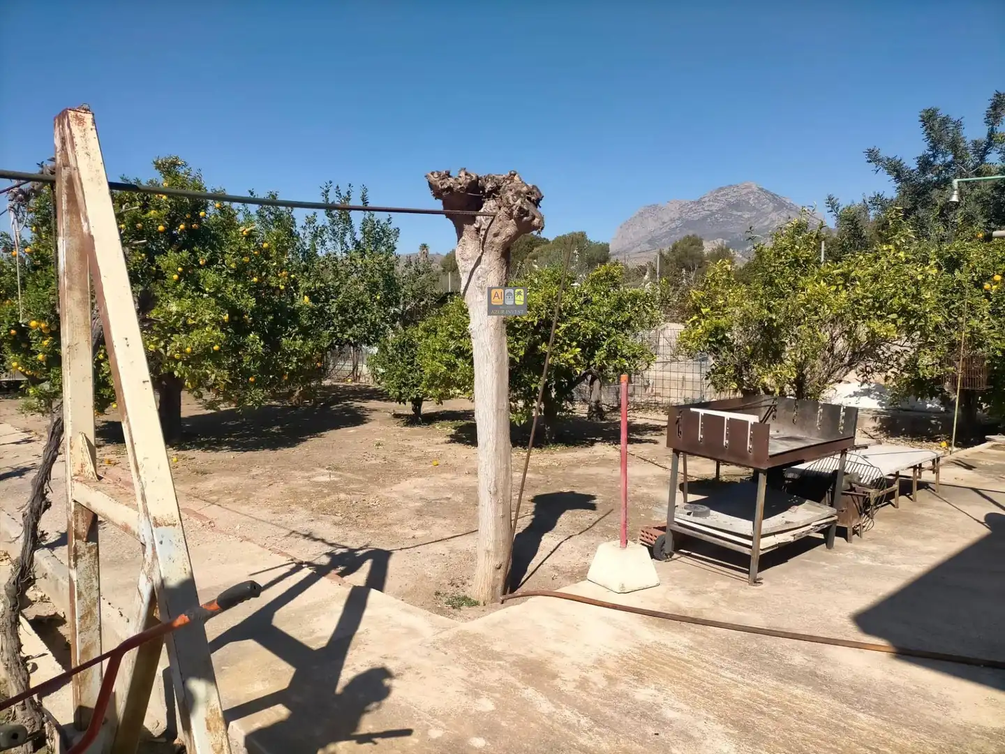 Finca rústica en venta en Juzgados - Plaza de Toros