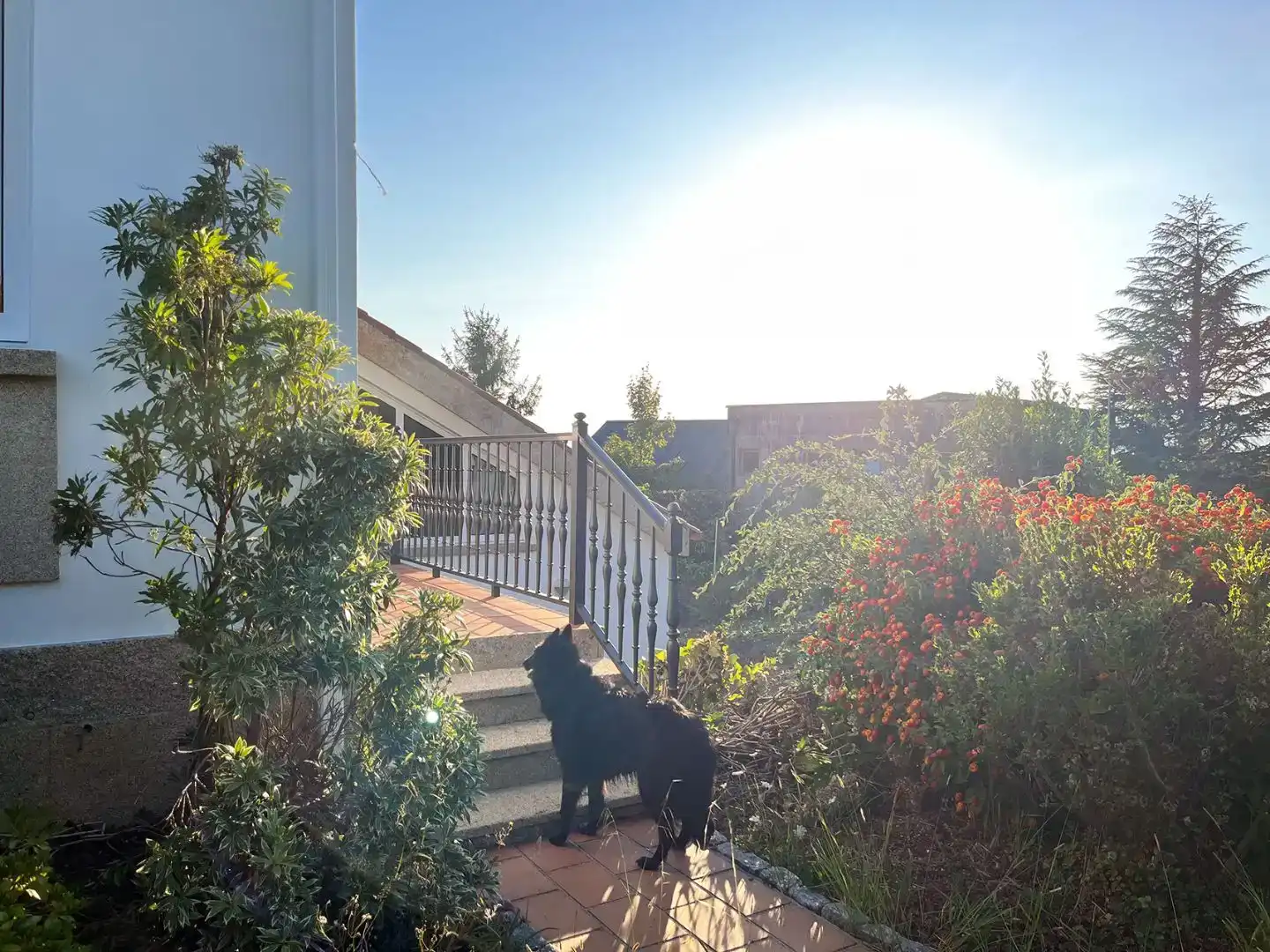 Jardí de Casa o xalet en venda en Vilagarcía de Arousa amb Balcó