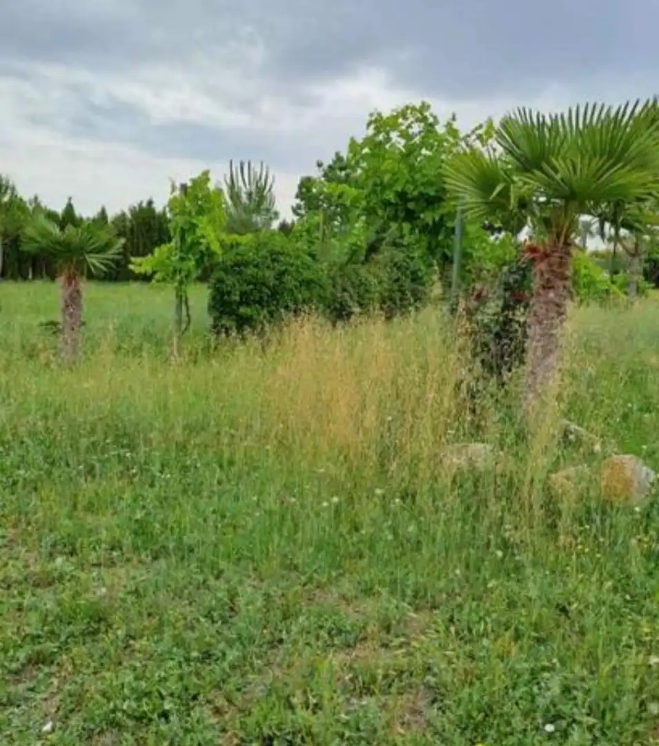 Terreno rustico in vendita a San Pablo, imagen 7