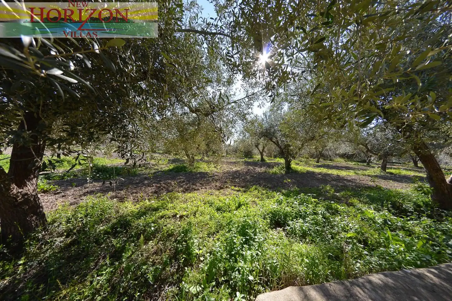 House with garden for sale in Albox, imagen 109