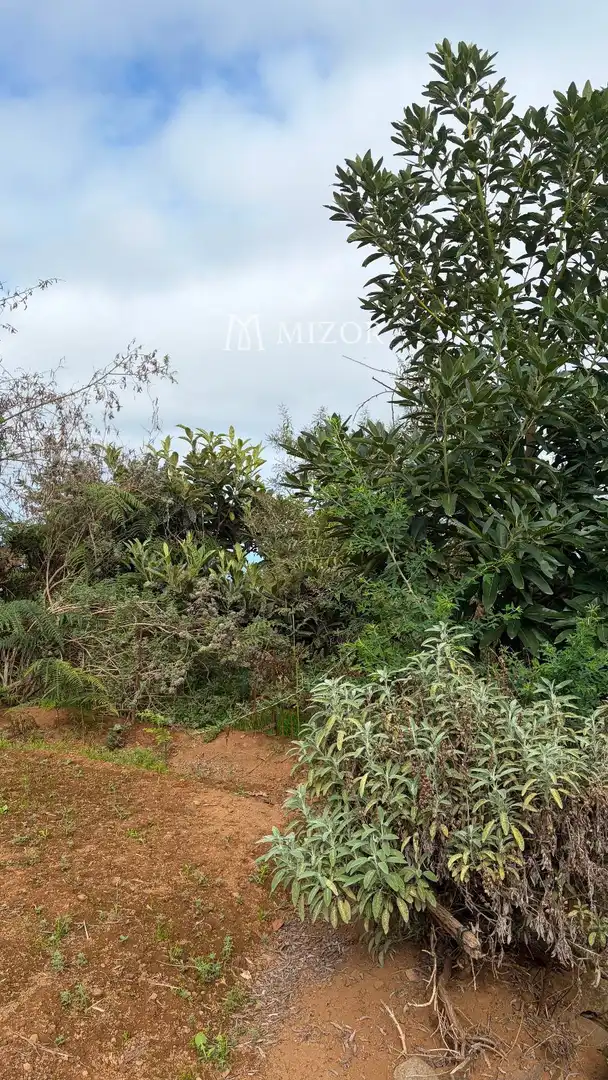 Rural land for sale in el rodeo, imagen 5