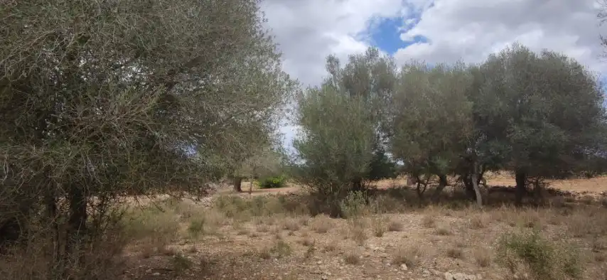 Casa rústica en venda a Manacor Centre, imagen 12
