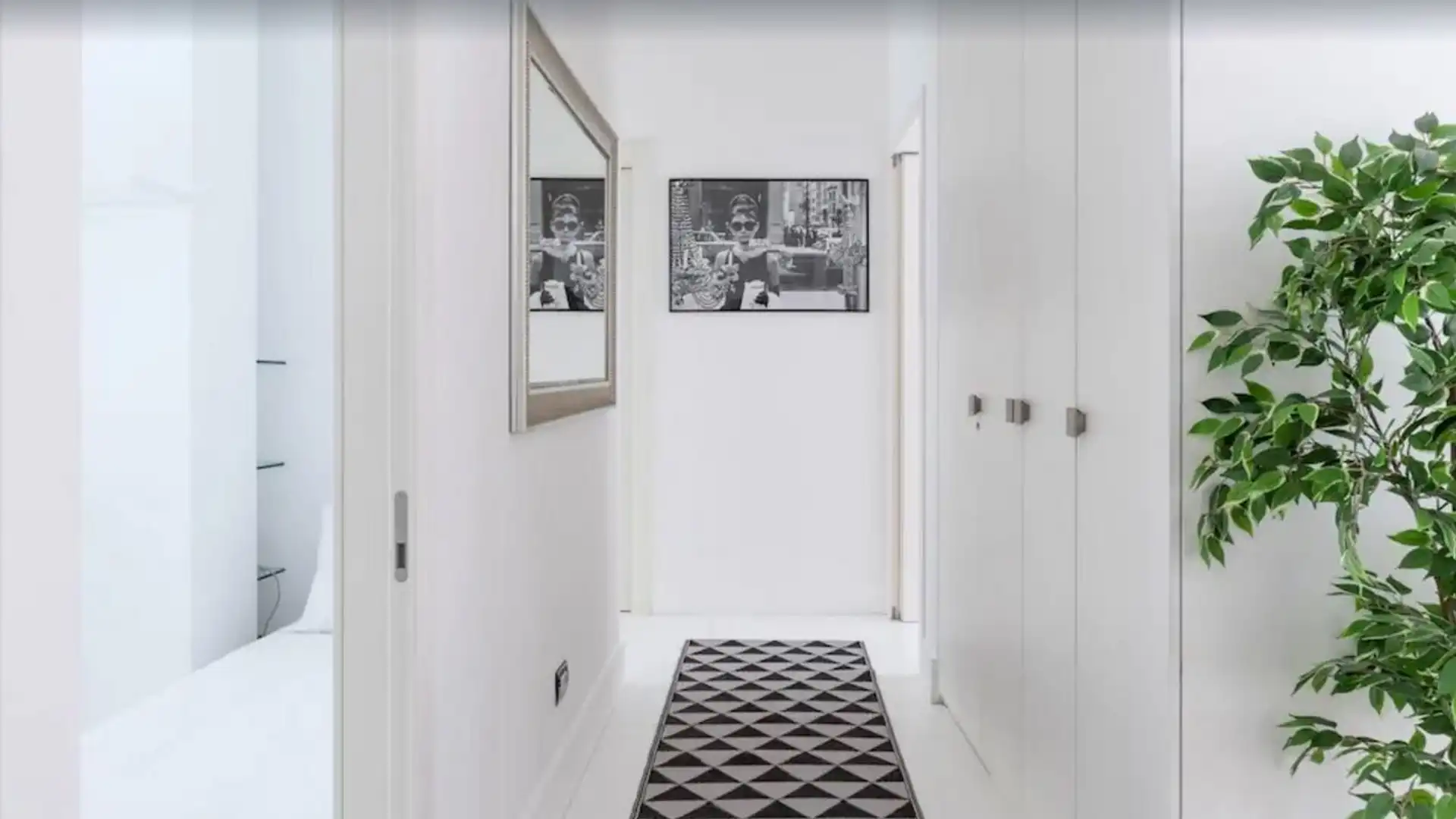 Apartments for rent in Casco Antiguo