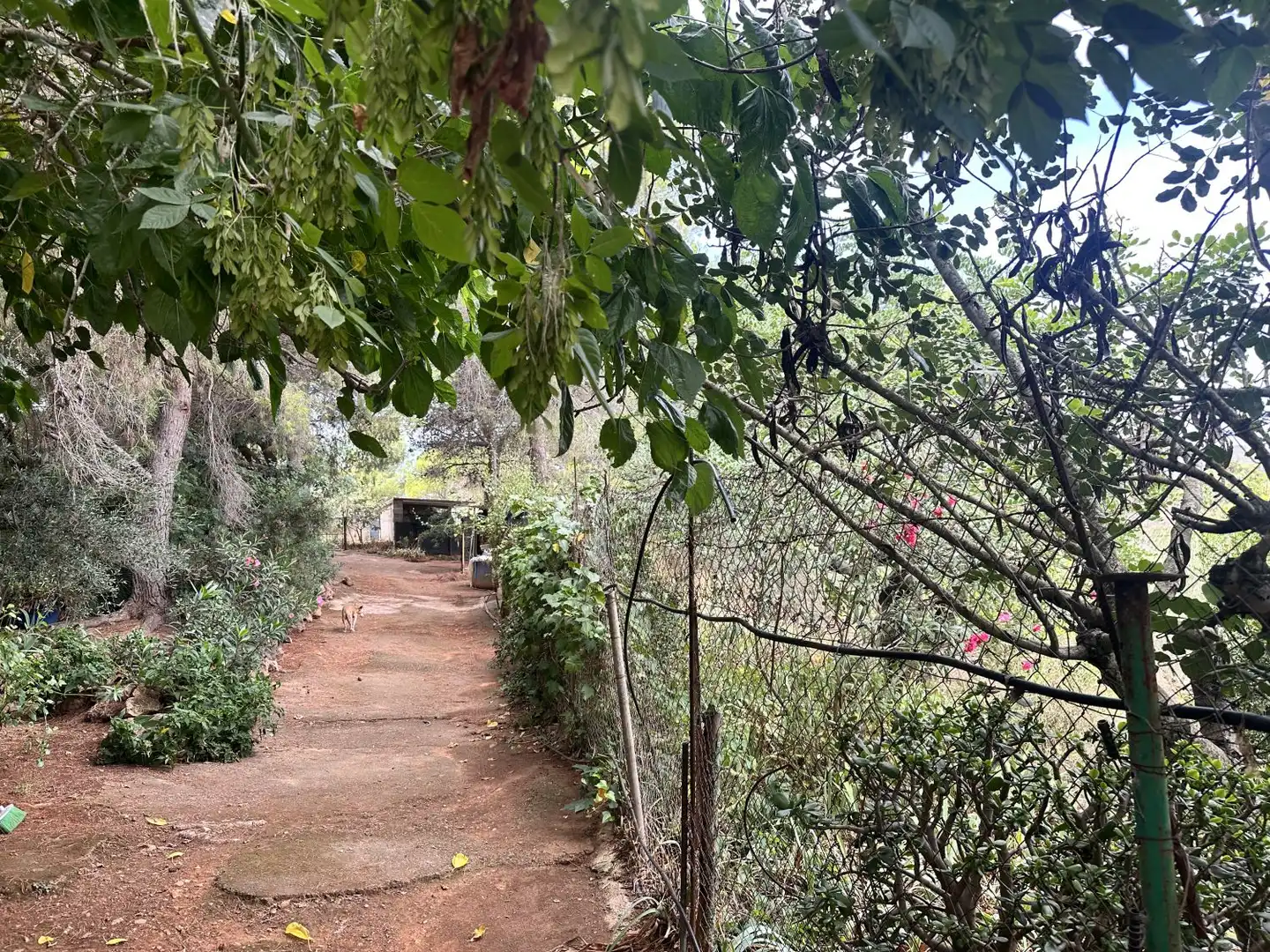 Xalet amb piscina en venda a Algar de Palància, imagen 3