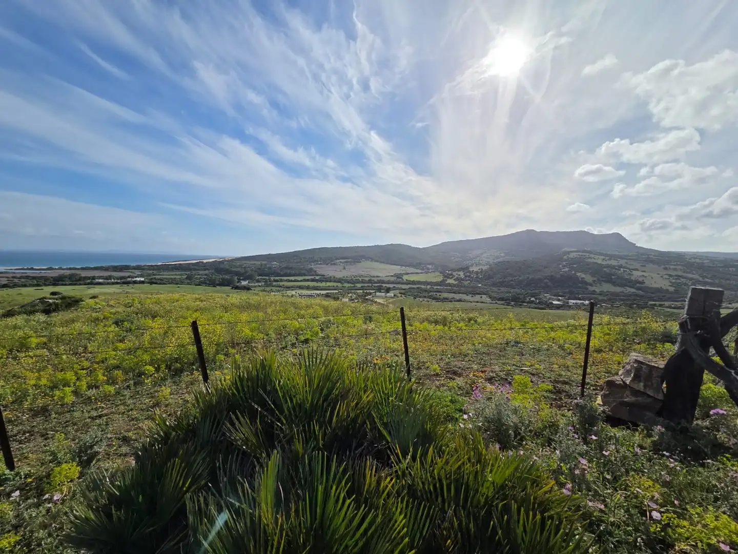 Terreno en venta en Tarifa
