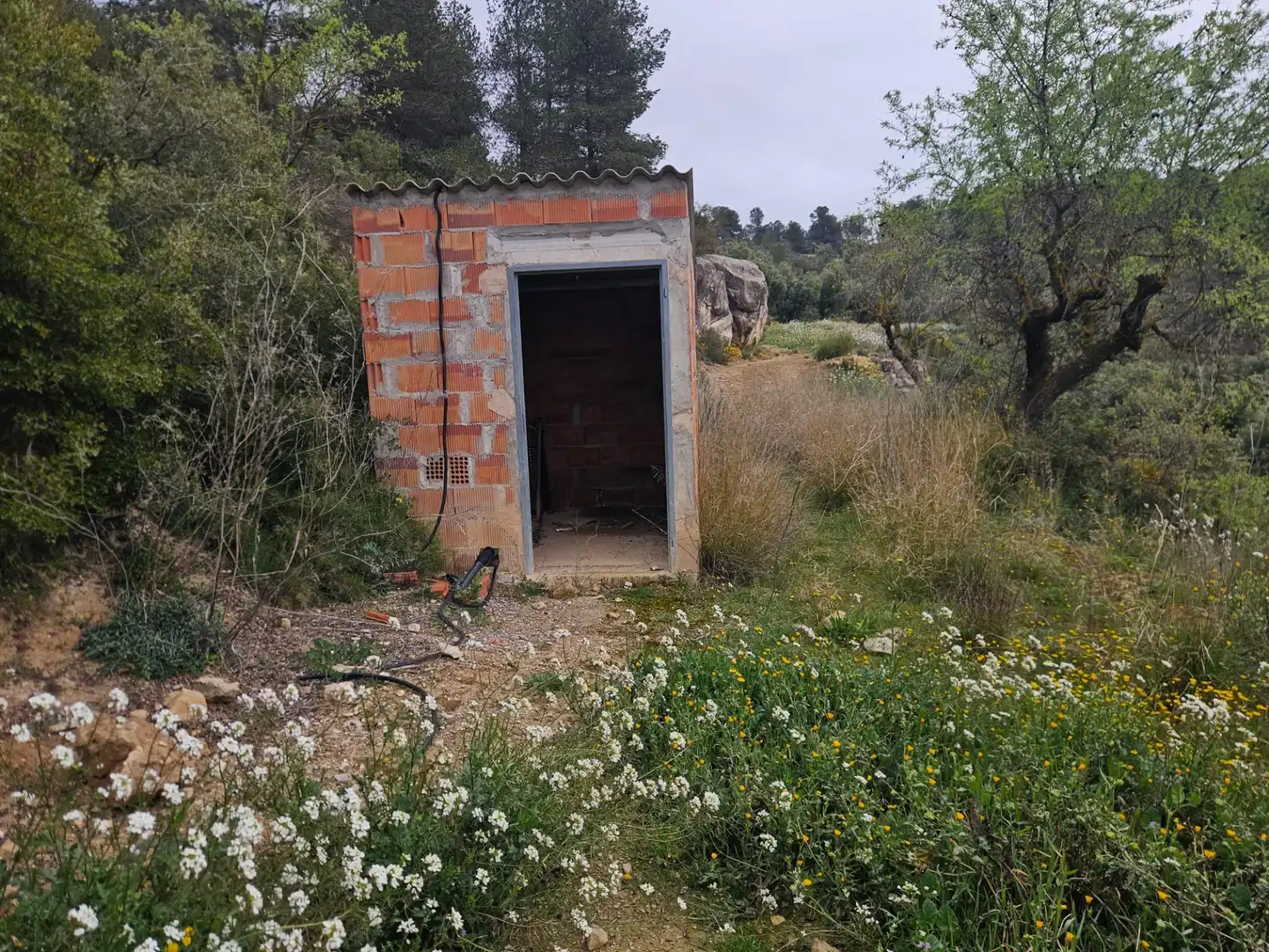 Rural land for sale in Cervià de Les Garrigues, imagen 3