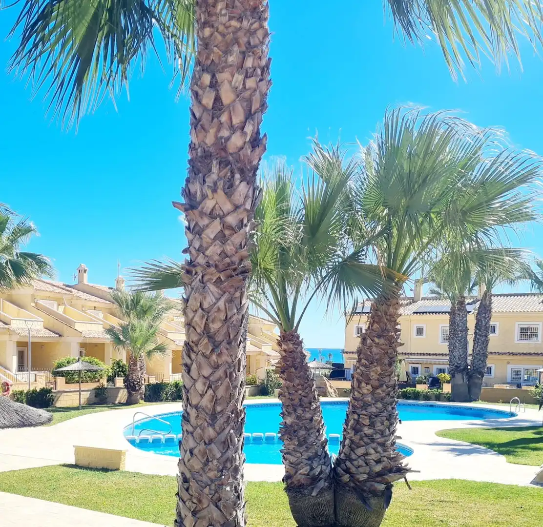 Schwimmbecken von Einfamilien-Reihenhaus zur Miete in Torrevieja mit Klimaanlage, Heizung und Privatgarten