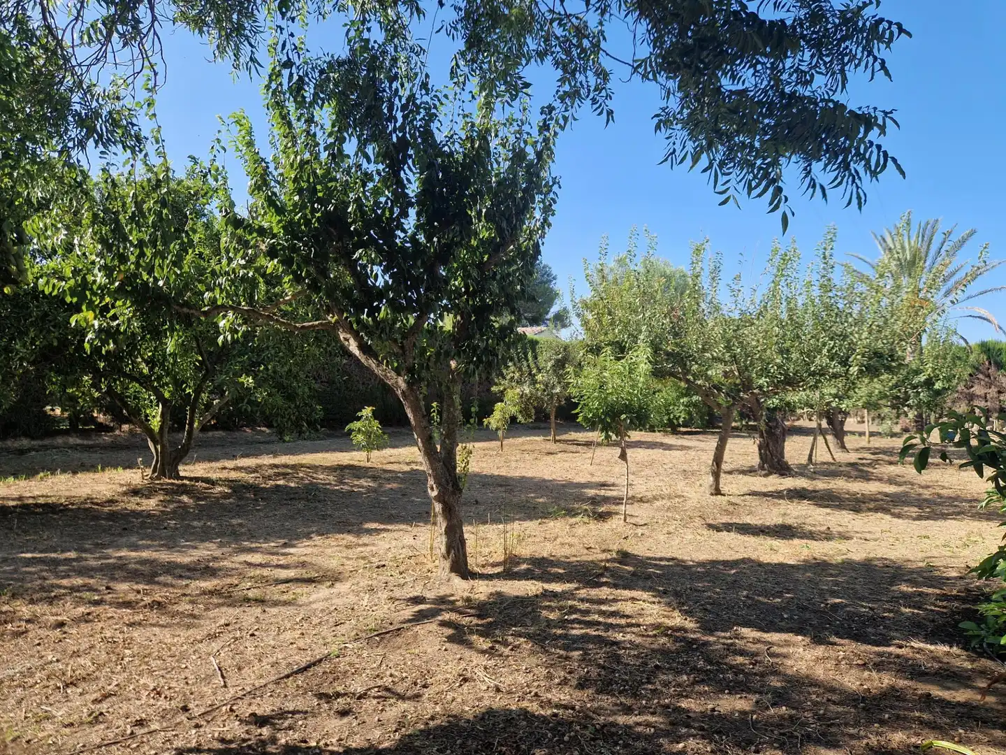 Finca rústica en venta en Jerez de la Frontera con Aire acondicionado, Calefacción y Piscina