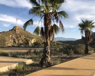 Vista exterior de Dúplex en venda en Bédar amb Terrassa i Balcó