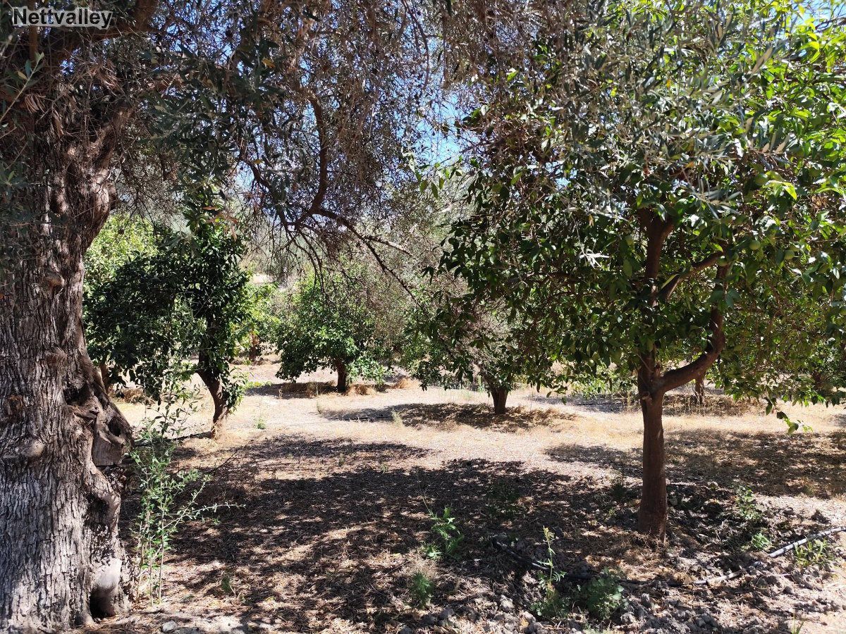 Finca rústica en venta en Lecrín
