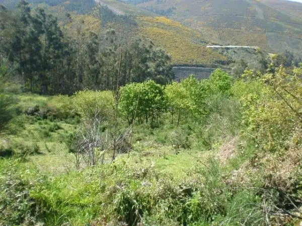 Terreno residenziale in vendita a A Cañiza