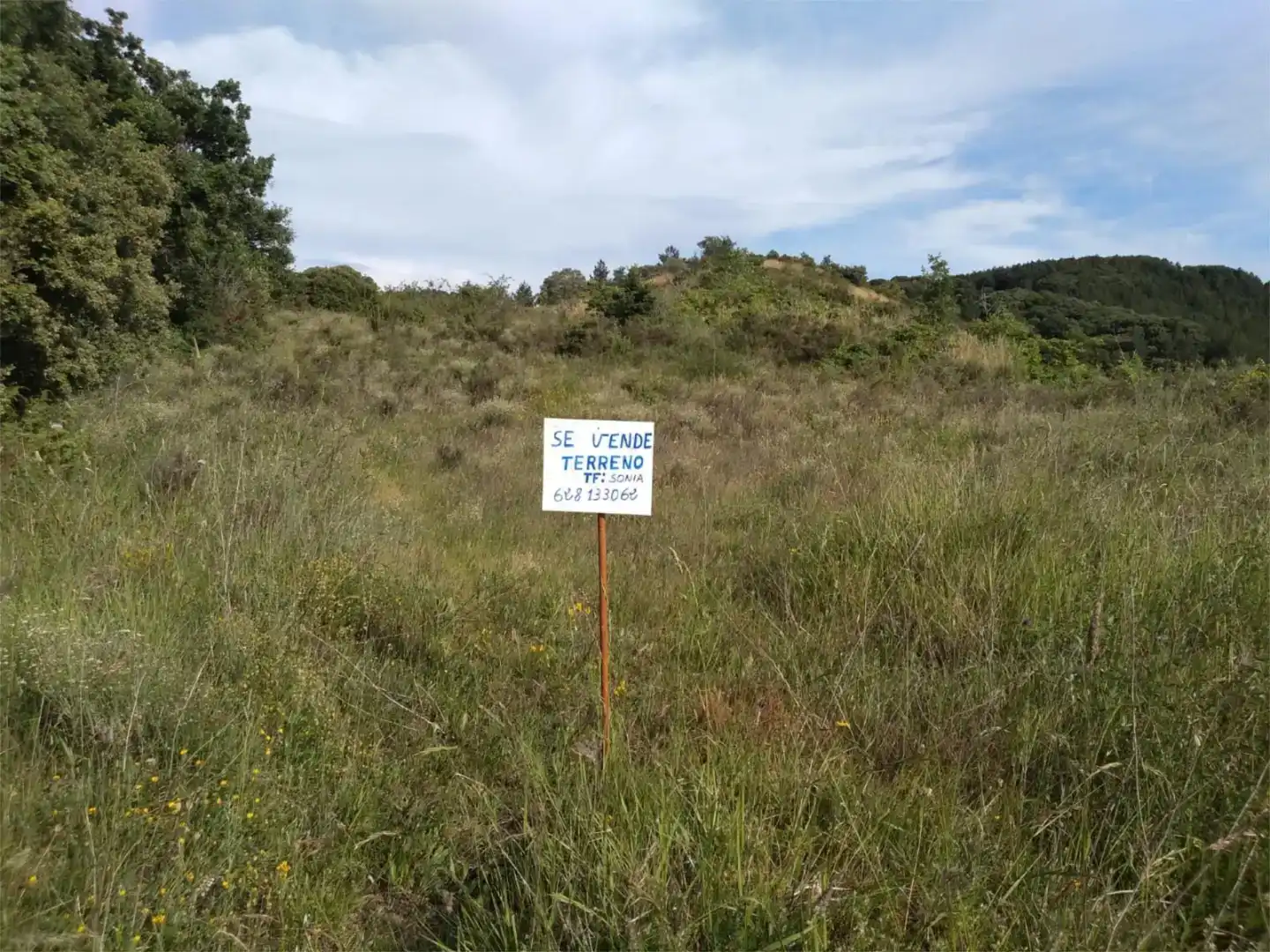 Terreno en venta en Valle de Ollo / Ollaran