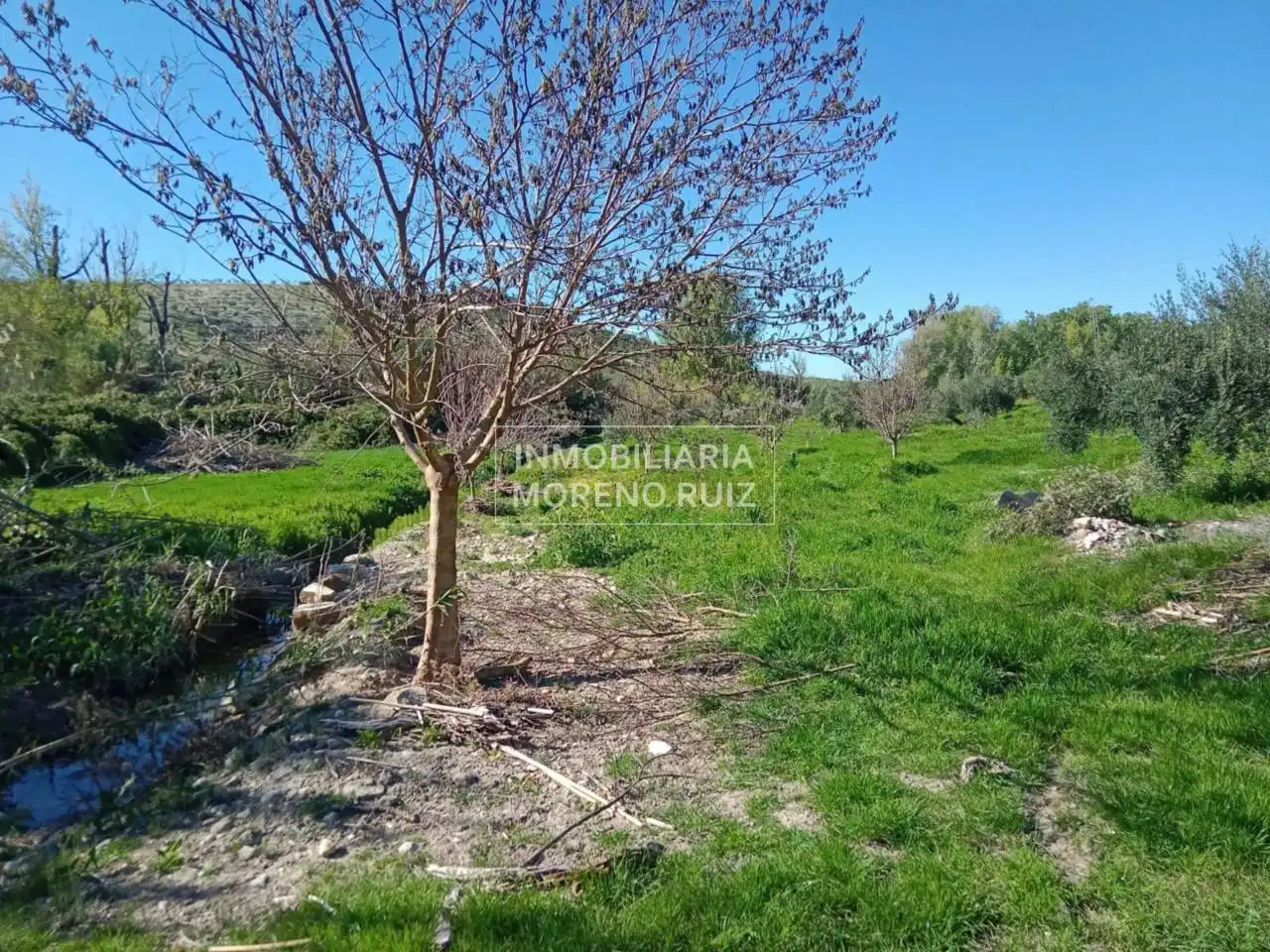 Terreny residencial en venda a Luque, imagen 6