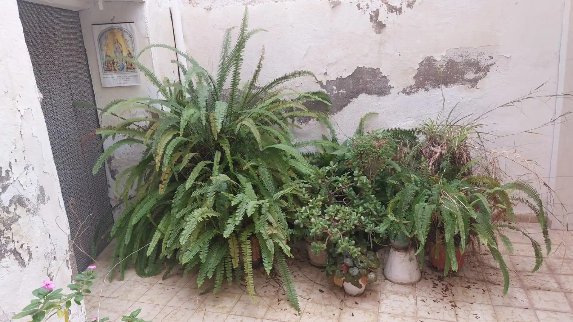 Casa en venda a Centro, imagen 21