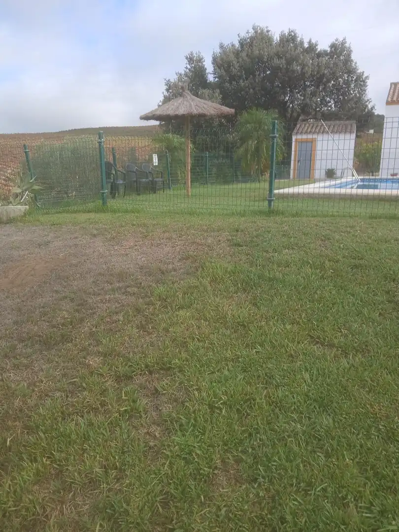 Jardí de Finca rústica en venda en Arcos de la Frontera amb Jardí privat i Piscina comunitària