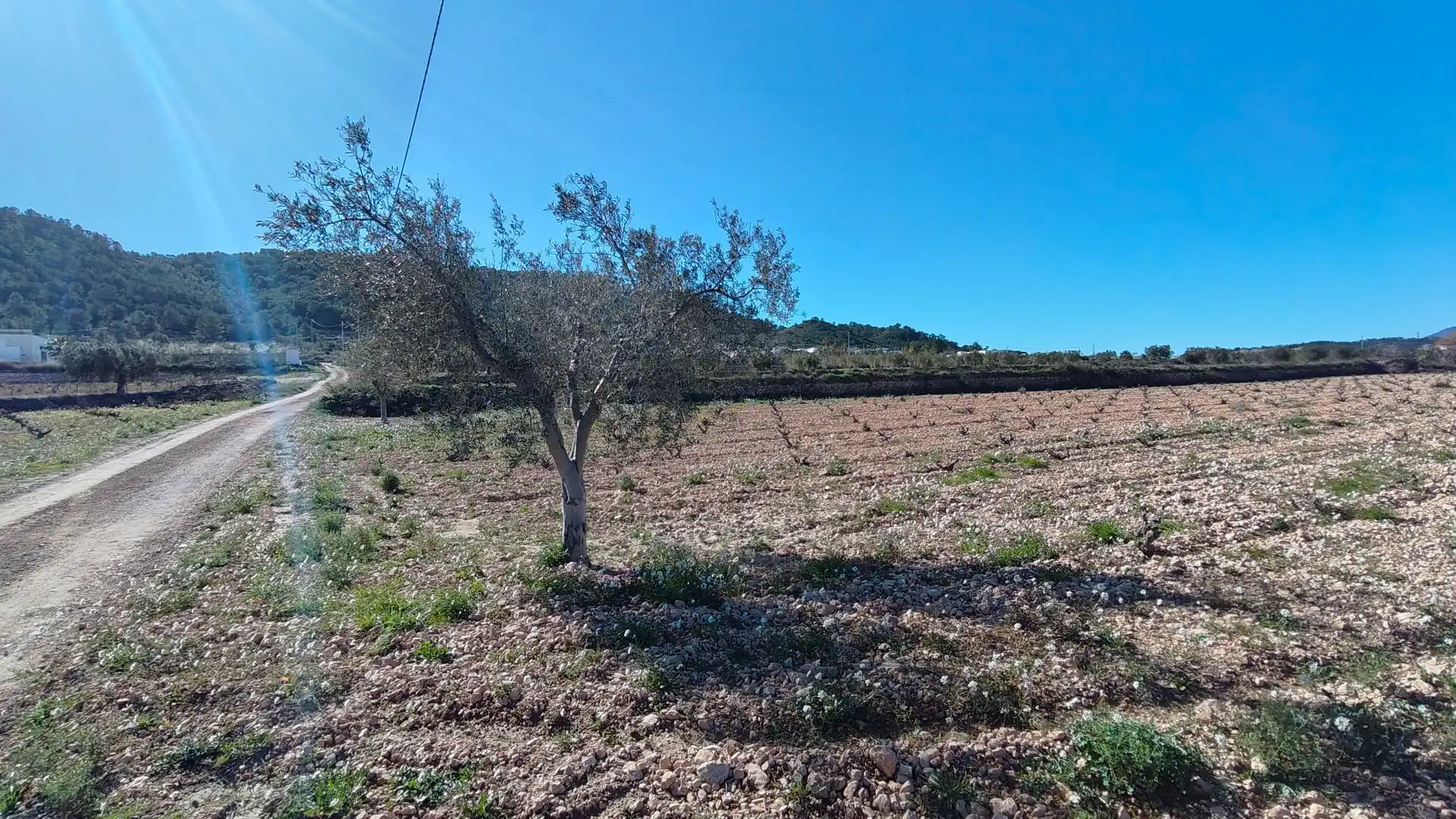 Lands and plots for sale in Abanilla, imagen 9