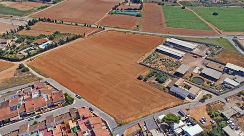 Foto 5 de Finca rústica en venda a Calle Casicas, Las-ds el Plan, Polígono Santa Ana, Murcia