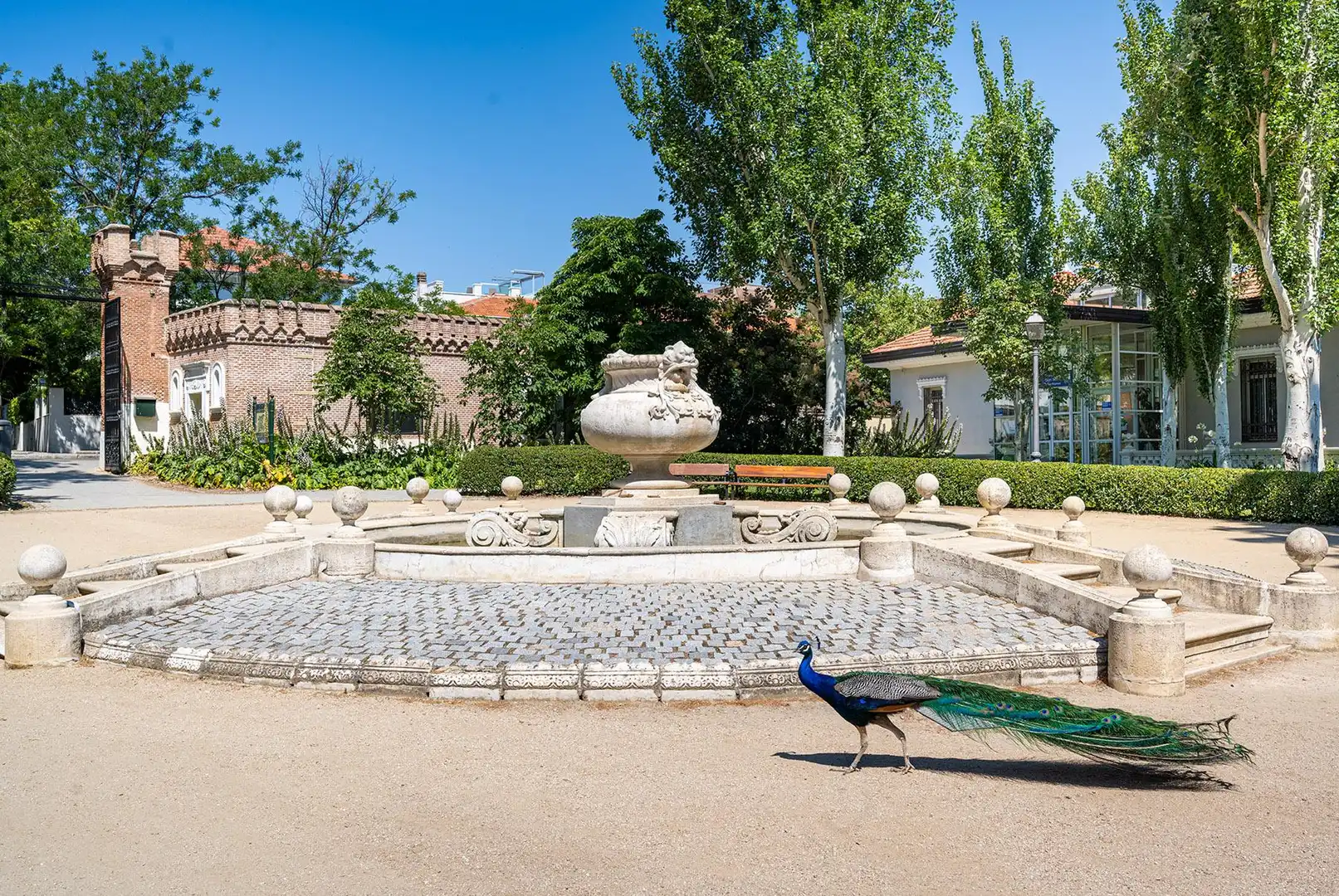 Garten von Wohnung zum Verkauf in Madrid mit Klimaanlage, Heizung und Möbliert