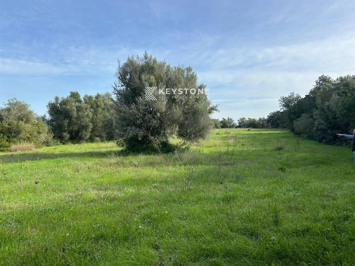 Rural land for sale in Muro, imagen 8