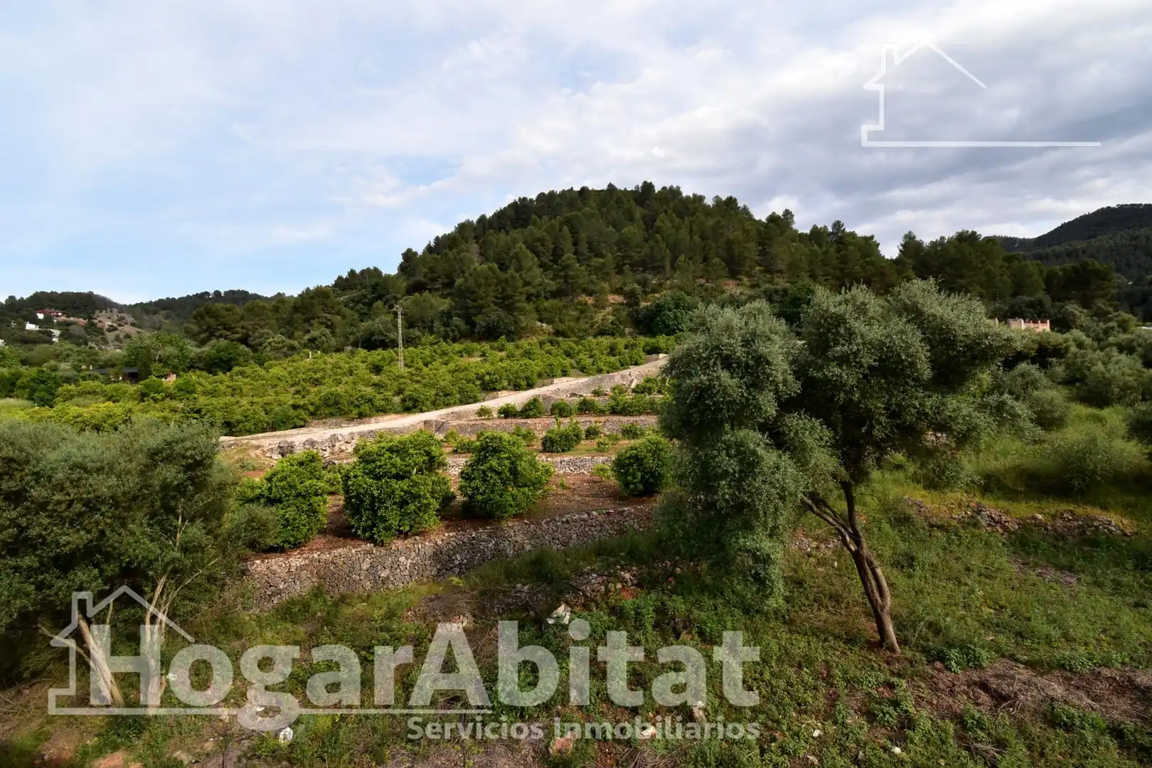 Appartamento con terrazza in vendita a del Camino a Forna, imagen 19