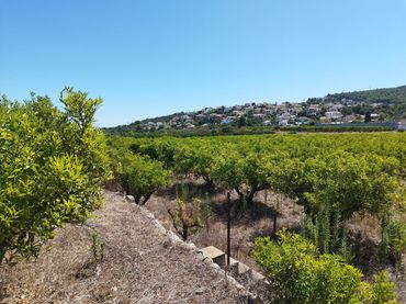 Terrenys i solars en venda a Orba