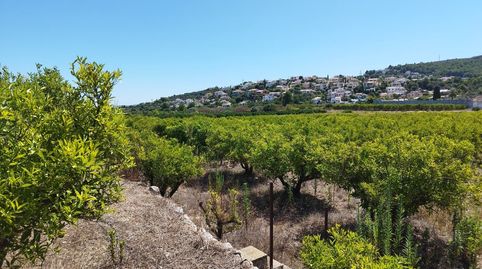 PARCELA GRANDE EN ORBA ALICANTE