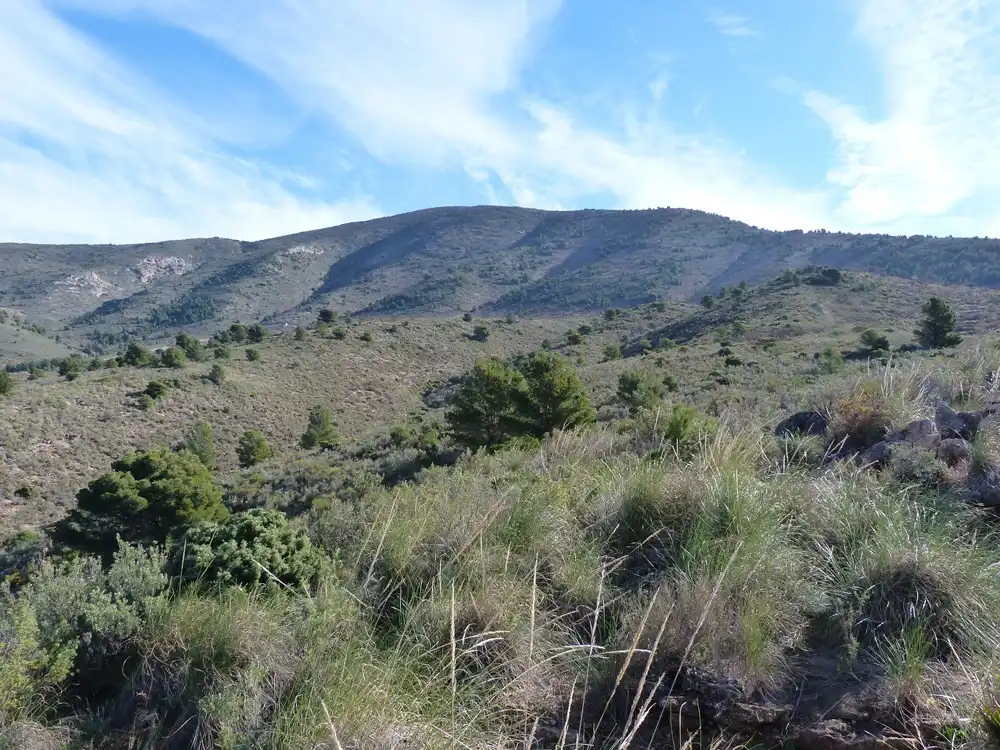 Terrenys i solars en venda a Vélez de Benaudalla, imagen 3