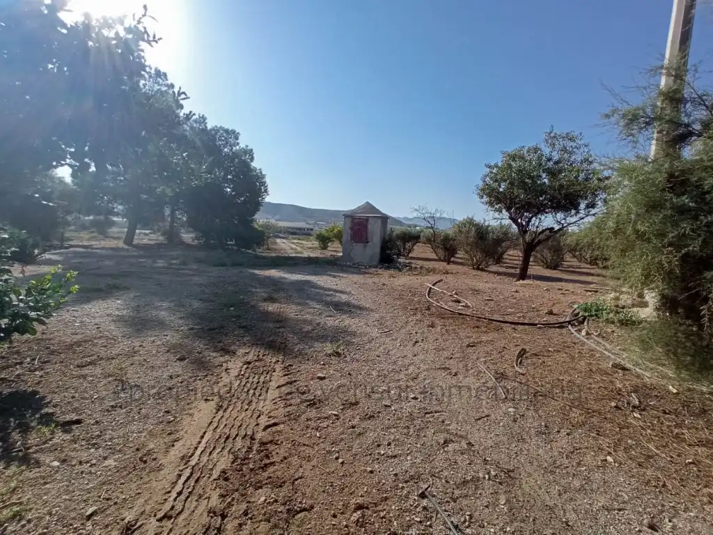 Country homes for sale in Lorca