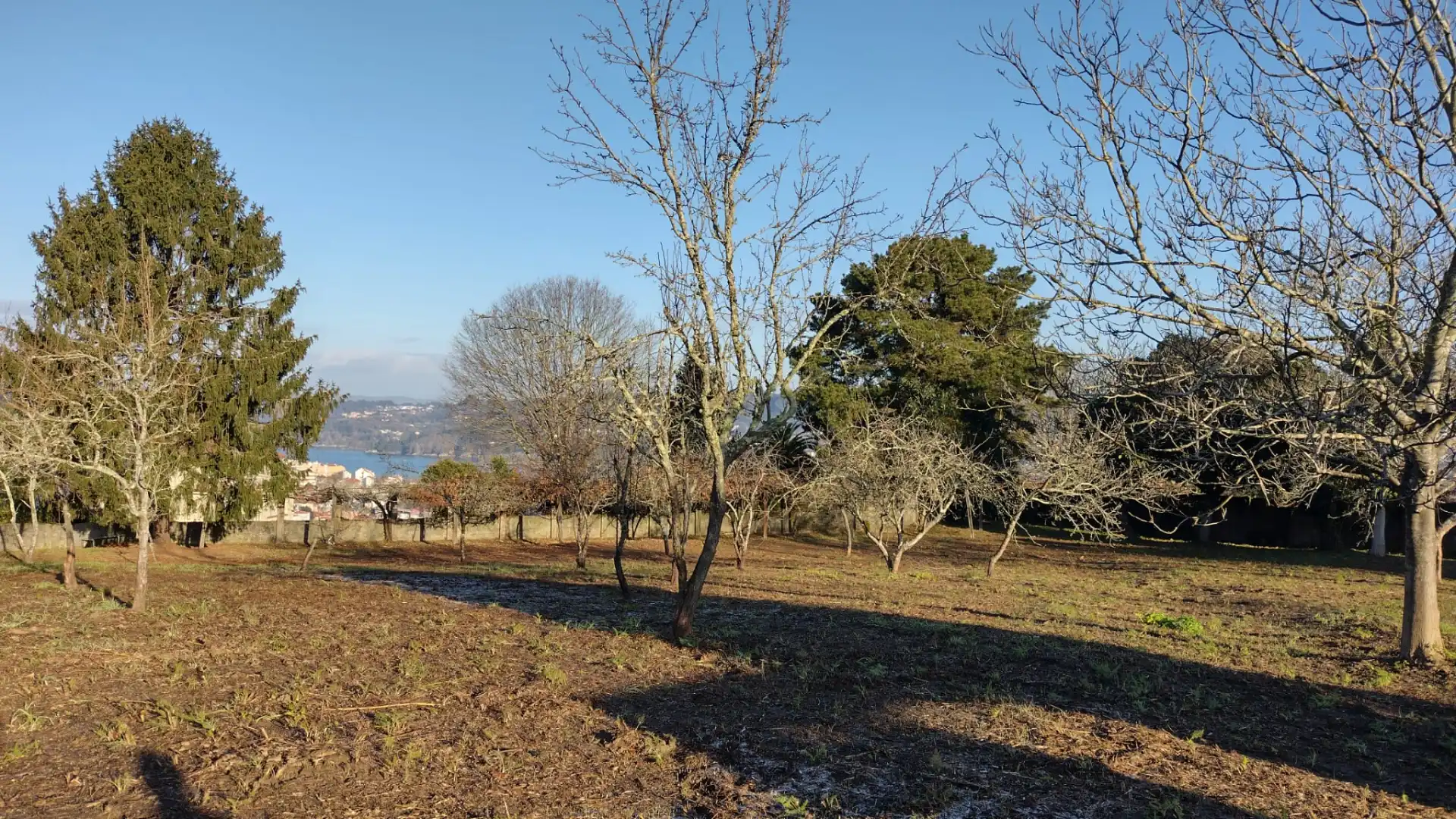 Terreni e lotti in vendita a Pontedeume