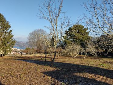 Terreno residenziale in vendita a Pontedeume