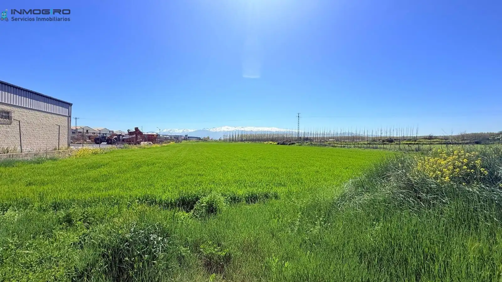 Country homes for sale in Atarfe