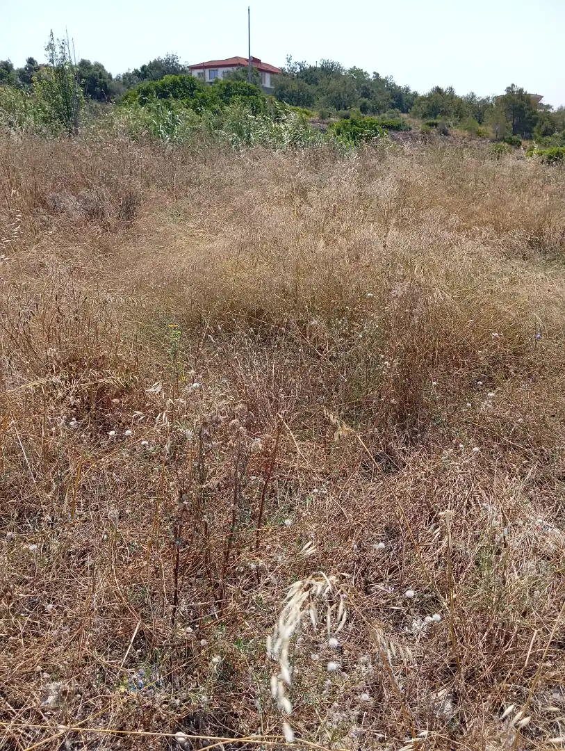 Terreno residencial en venta en Albinyana, imagen 13