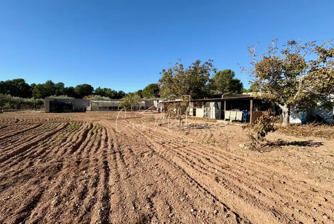 Finca rústica en venta en Mont-roig del Camp con Jardín privado, Terraza y Piscina