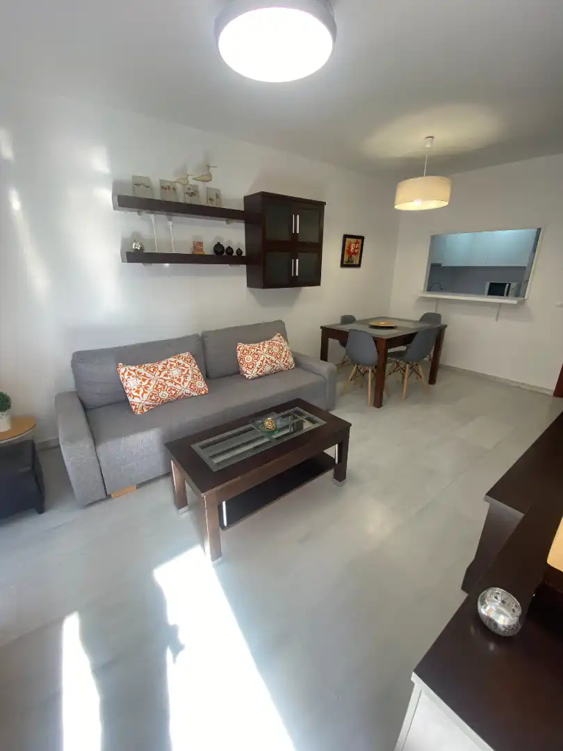 Living room of Apartments for rent in Málaga  with Air Conditioner, Terrace and Furnished