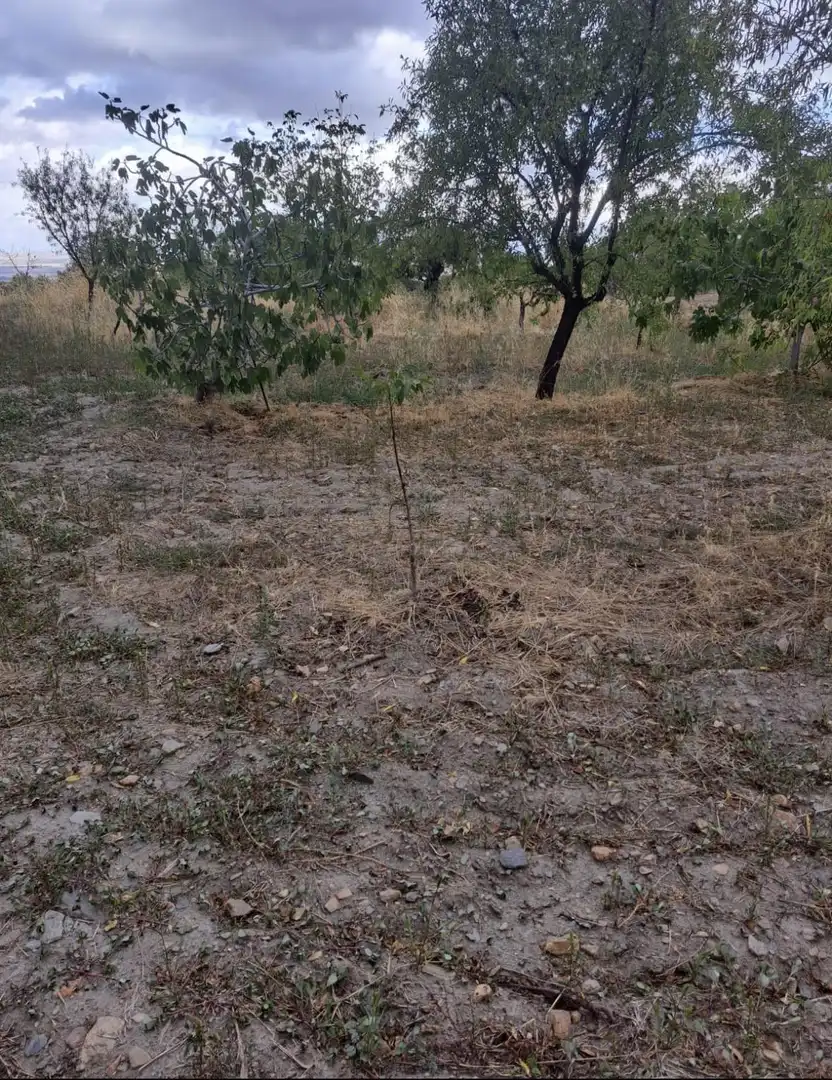 Lands and plots for sale in Lanteira, imagen 3