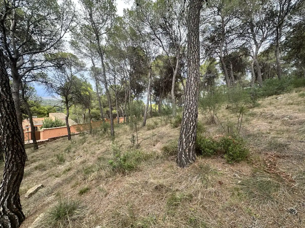 Wohnbaugrundstück zum Verkauf in Torres Torres, imagen 40