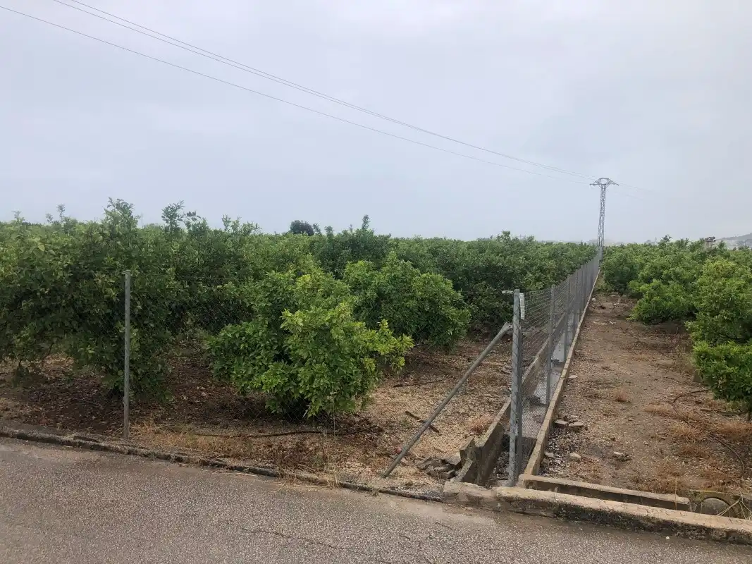 Terreny rústic en venda a Castelló de Rugat, imagen 7